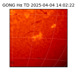 gong - 2025-04-04T14:02:22