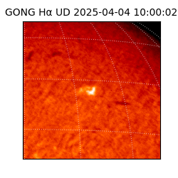gong - 2025-04-04T10:00:02