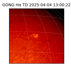 gong - 2025-04-04T13:00:22