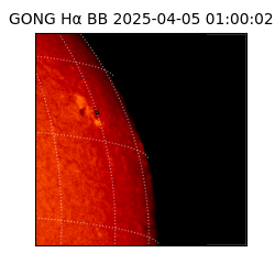 gong - 2025-04-05T01:00:02