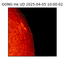 gong - 2025-04-05T10:00:02