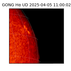 gong - 2025-04-05T11:00:02