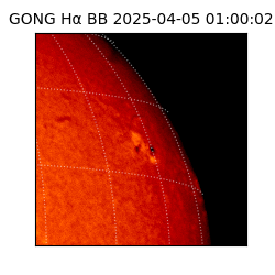 gong - 2025-04-05T01:00:02