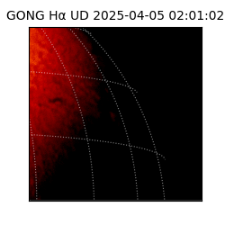 gong - 2025-04-05T02:01:02