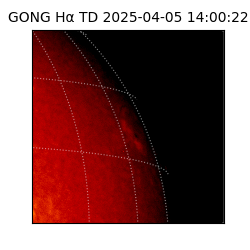 gong - 2025-04-05T14:00:22