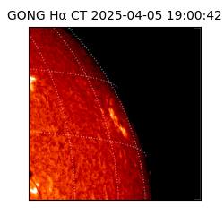 gong - 2025-04-05T19:00:42
