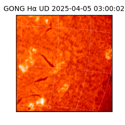 gong - 2025-04-05T03:00:02
