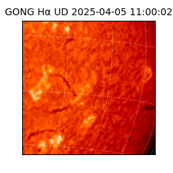 gong - 2025-04-05T11:00:02