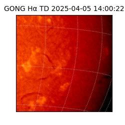 gong - 2025-04-05T14:00:22