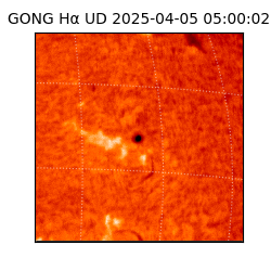 gong - 2025-04-05T05:00:02