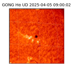 gong - 2025-04-05T09:00:02