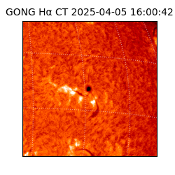 gong - 2025-04-05T16:00:42