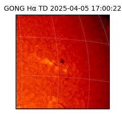 gong - 2025-04-05T17:00:22