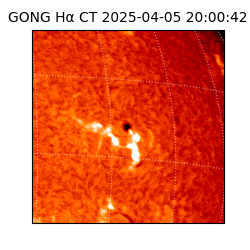gong - 2025-04-05T20:00:42