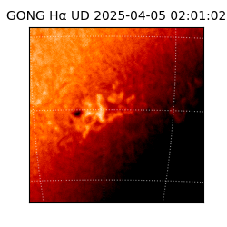 gong - 2025-04-05T02:01:02