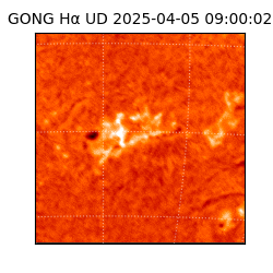 gong - 2025-04-05T09:00:02