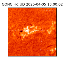 gong - 2025-04-05T10:00:02