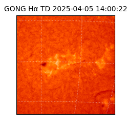 gong - 2025-04-05T14:00:22