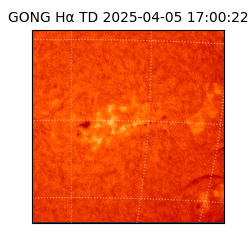 gong - 2025-04-05T17:00:22