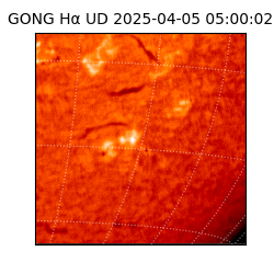 gong - 2025-04-05T05:00:02