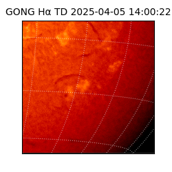 gong - 2025-04-05T14:00:22