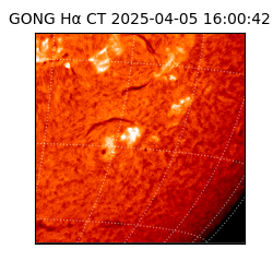 gong - 2025-04-05T16:00:42