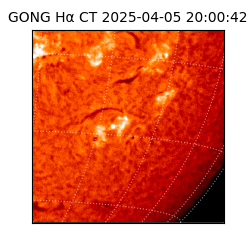 gong - 2025-04-05T20:00:42