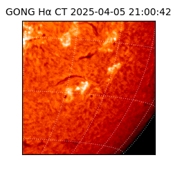 gong - 2025-04-05T21:00:42
