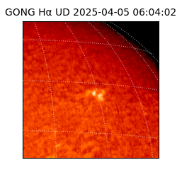 gong - 2025-04-05T06:04:02