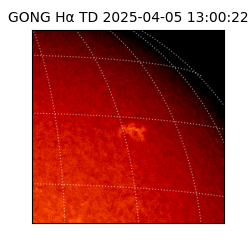 gong - 2025-04-05T13:00:22