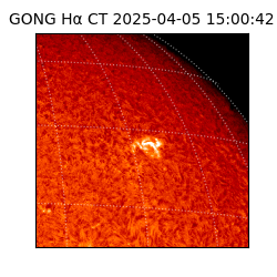 gong - 2025-04-05T15:00:42