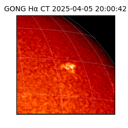 gong - 2025-04-05T20:00:42