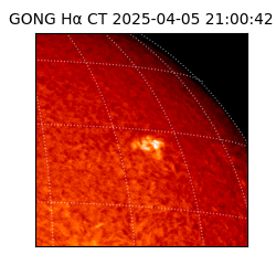 gong - 2025-04-05T21:00:42