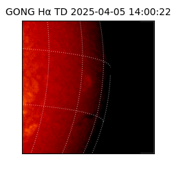 gong - 2025-04-05T14:00:22