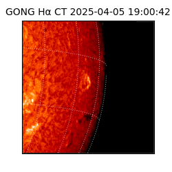 gong - 2025-04-05T19:00:42