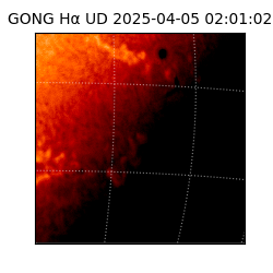 gong - 2025-04-05T02:01:02