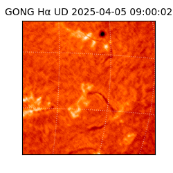 gong - 2025-04-05T09:00:02