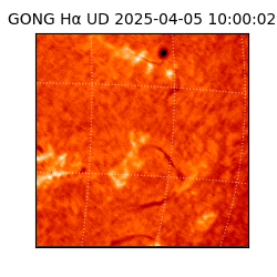 gong - 2025-04-05T10:00:02