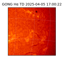 gong - 2025-04-05T17:00:22