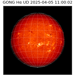 gong - 2025-04-05T11:00:02