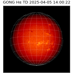 gong - 2025-04-05T14:00:22