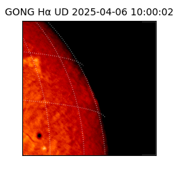 gong - 2025-04-06T10:00:02