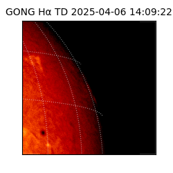 gong - 2025-04-06T14:09:22