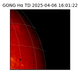 gong - 2025-04-06T16:01:22