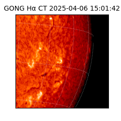 gong - 2025-04-06T15:01:42