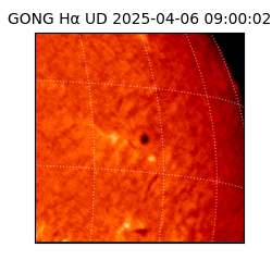 gong - 2025-04-06T09:00:02