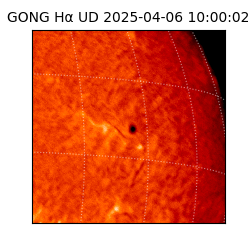 gong - 2025-04-06T10:00:02