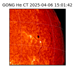 gong - 2025-04-06T15:01:42