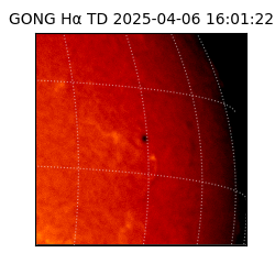 gong - 2025-04-06T16:01:22