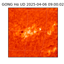 gong - 2025-04-06T09:00:02